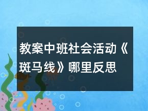 教案中班社会活动《斑马线》哪里反思