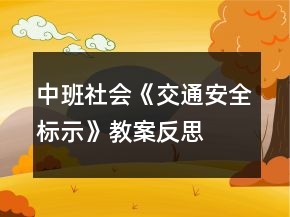 中班社会《交通安全标示》教案反思