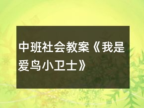 中班社会教案《我是爱鸟小卫士》