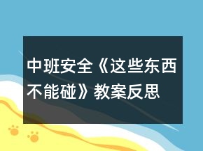 中班安全《这些东西不能碰》教案反思