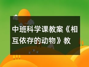 中班科学课教案《相互依存的动物》教学反思