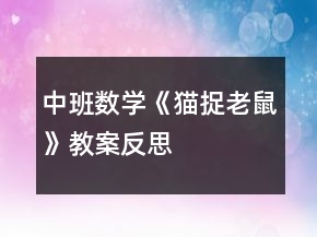 中班数学《猫捉老鼠》教案反思