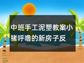 中班手工泥塑教案：小猪呼噜的新房子反思