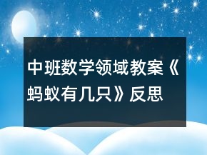 中班数学领域教案《蚂蚁有几只》反思