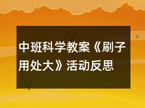 中班科学教案《刷子用处大》活动反思