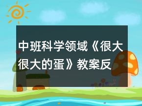 中班科学领域《很大很大的蛋》教案反思