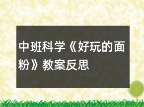中班科学《好玩的面粉》教案反思
