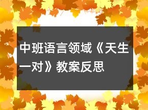 中班语言领域《天生一对》教案反思