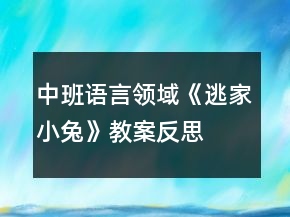 中班语言领域《逃家小兔》教案反思