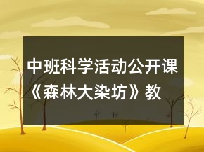 中班科学活动公开课《森林大染坊》教案及教学反思