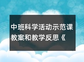 中班科学活动示范课教案和教学反思《摸摸有什么感觉》