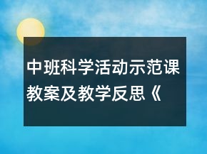 中班科学活动示范课教案及教学反思《长长的面条》