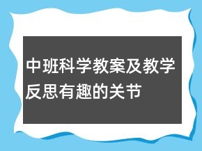 中班科学教案及教学反思：有趣的关节