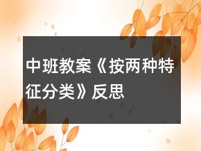 中班教案《按两种特征分类》反思