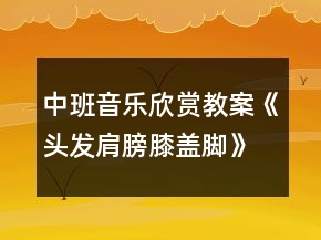 中班音乐欣赏教案《头发肩膀膝盖脚》反思