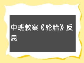 中班教案《轮胎》反思