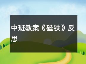 中班教案《磁铁》反思