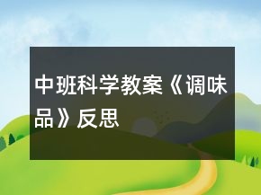 中班科学教案《调味品》反思