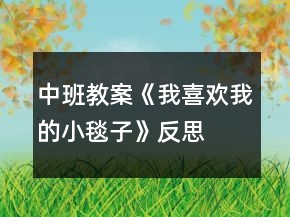 中班教案《我喜欢我的小毯子》反思