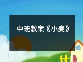 中班教案《小麦》