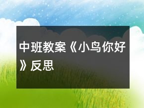 中班教案《小鸟你好》反思