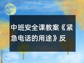 中班安全课教案《紧急电话的用途》反思