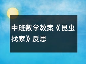中班数学教案《昆虫找家》反思