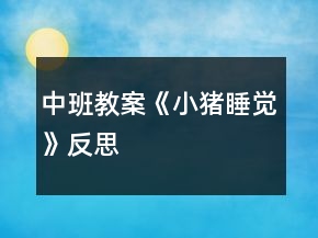 中班教案《小猪睡觉》反思