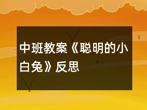 中班教案《聪明的小白兔》反思