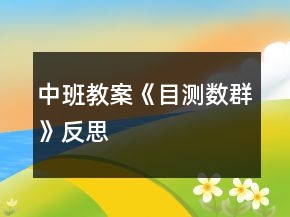 中班教案《目测数群》反思