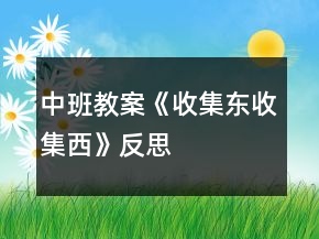 中班教案《收集东收集西》反思