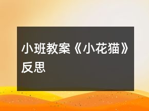 小班教案《小花猫》反思