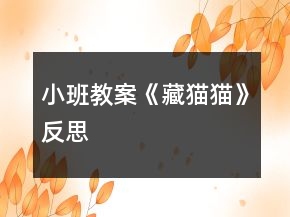 小班教案《藏猫猫》反思