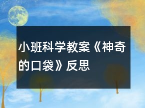小班科学教案《神奇的口袋》反思