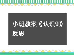 小班教案《认识9》反思