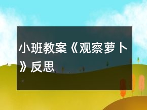 小班教案《观察萝卜》反思