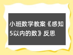 小班数学教案《感知5以内的数》反思