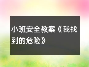 小班安全教案《我找到的危险》