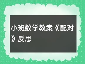 小班数学教案《配对》反思