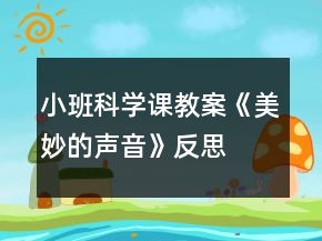 小班科学课教案《美妙的声音》反思