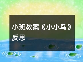 小班教案《小小鸟》反思