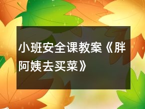 小班安全课教案《胖阿姨去买菜》