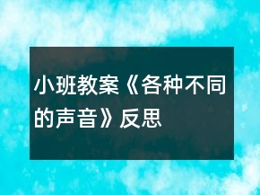 小班教案《各种不同的声音》反思