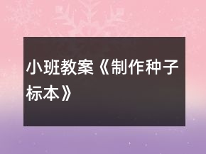 小班教案《制作种子标本》