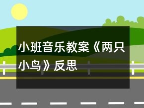小班音乐教案《两只小鸟》反思