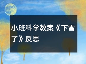 小班科学教案《下雪了》反思