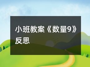 小班教案《数量9》反思