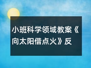 小班科学领域教案《向太阳借点火》反思
