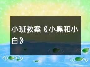 小班教案《小黑和小白》