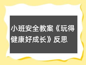 小班安全教案《玩得健康好成长》反思